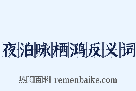 夜泊咏栖鸿反义词是什么意思的图片